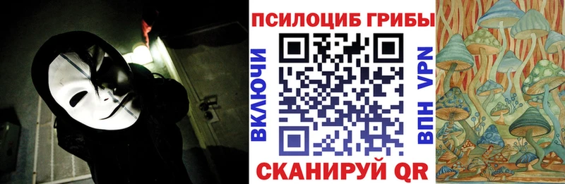 Псилоцибиновые грибы Psilocybine cubensis  дарнет шоп  Чадан 